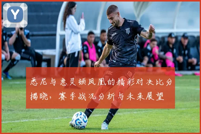 悉尼与惠灵顿凤凰的精彩对决比分揭晓，赛季战况分析与未来展望