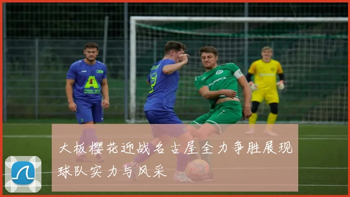 丹麦对阵尼日利亚精彩直播全程回顾与赛后分析