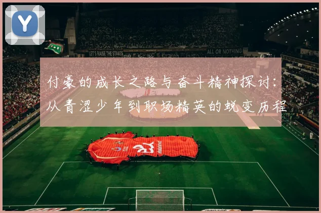 付豪的成长之路与奋斗精神探讨：从青涩少年到职场精英的蜕变历程