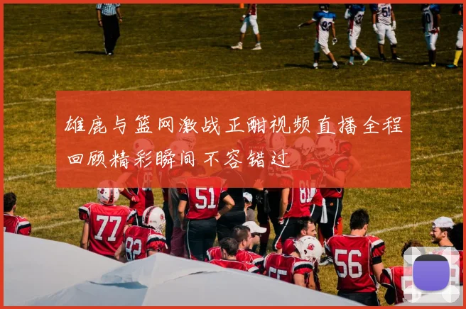 雄鹿与篮网激战正酣视频直播全程回顾精彩瞬间不容错过